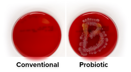 Probiotics vs Conventional Test